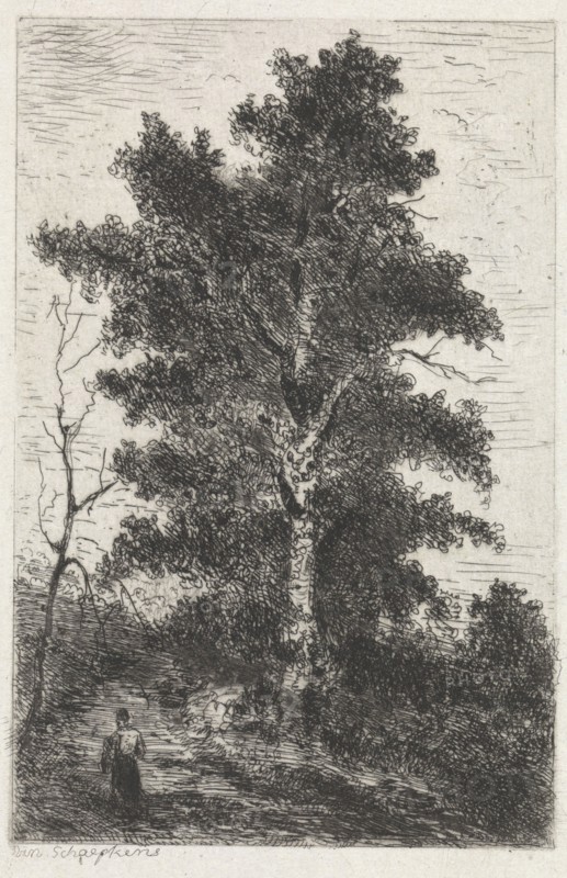 Beech, print maker: Arnoud Schaepkens