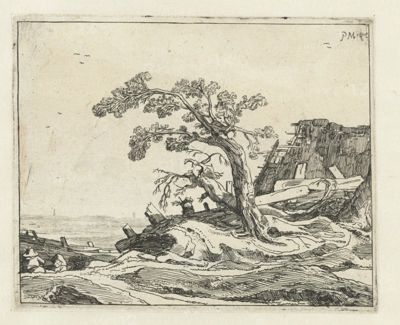 Landscape with tree, Pieter de Molijn, print maker: Cornelis van Kittensteyn attributed to, 1623 - 1652