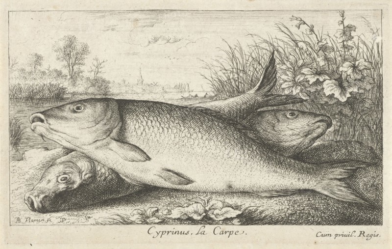 Three carp on a riverbank, Albert Flamen, Jacques van Merlen, Louis XIV King of France, 1664