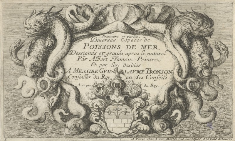 Shell-shaped cartouche with sea creatures, Albert Flamen, 1664
