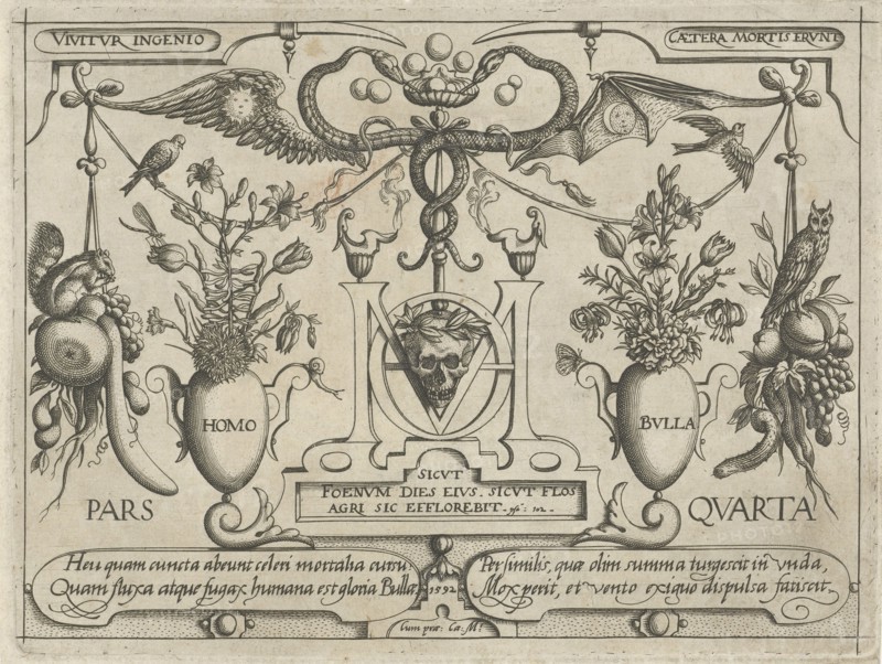Animals, plants and fruits around a skull, Jacob Hoefnagel, 1592