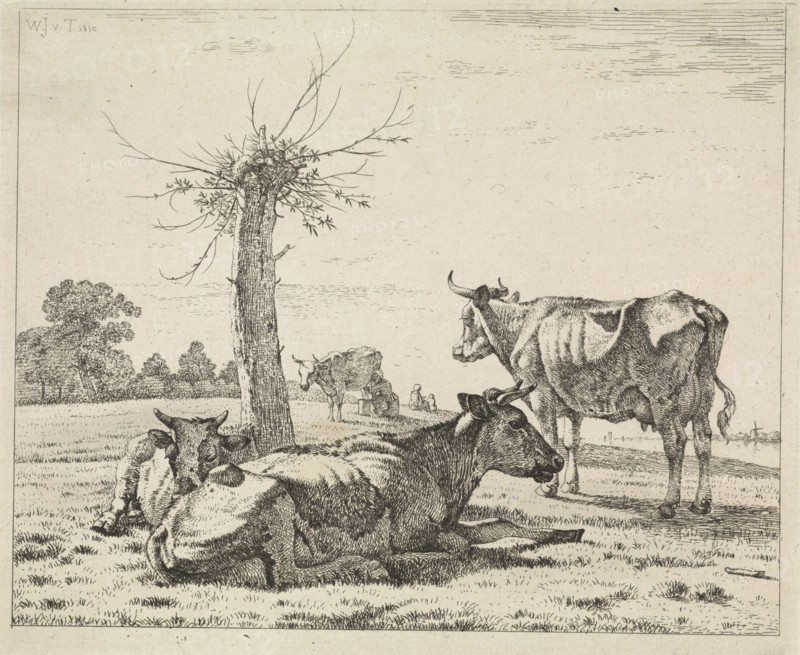 Cows at a pollard willow, Wouter Johannes van Troostwijk, 1810