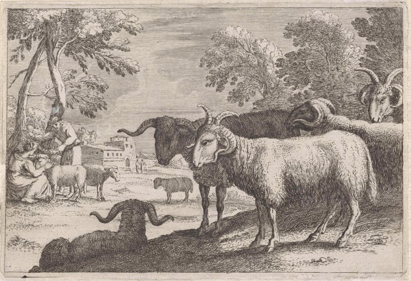 Rams, Anonymous, Herman van Swanevelt, 1636 - 1705