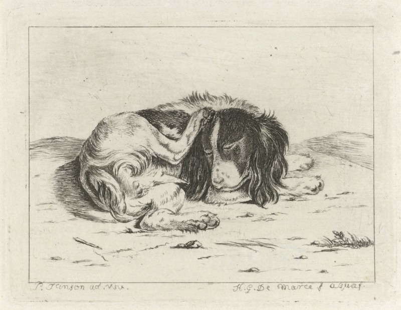 Sleeping dog, Hendrik Godart de Marée, 1752 - 1783