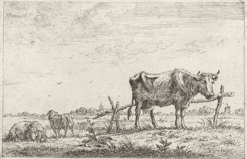 Pasture with cows and sheep, print maker: Johannes Janson, 1761 - 1784