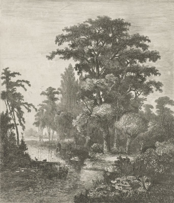 forest scene with two ducks nesting in a river, Hermanus Jan Hendrik van Rijkelijkhuysen, 1861