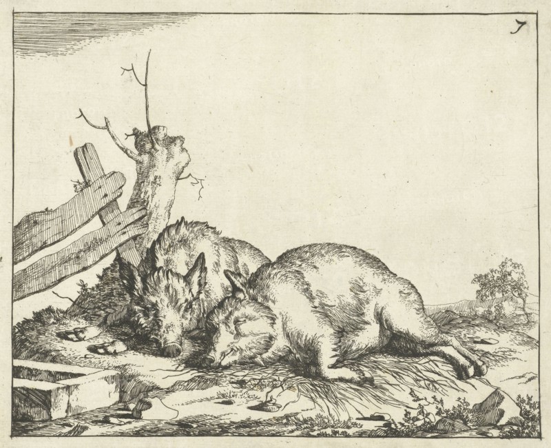 Two pigs lying near a fence, Marcus de Bye, Paulus Potter, 1657 - c. 1677