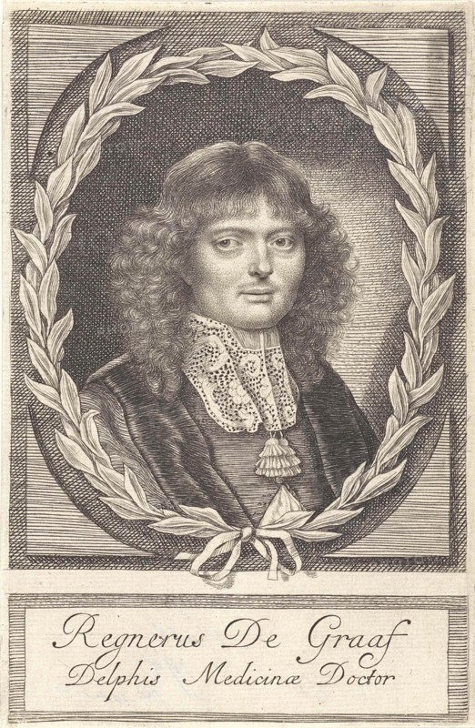 Portrait of Reinier de Graaf, Anna Maria van Schurman, 1666 - 1673