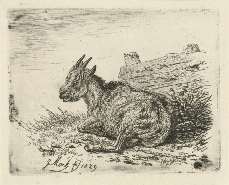 Lying kid at a fence, print maker: Johannes Mock, 1829