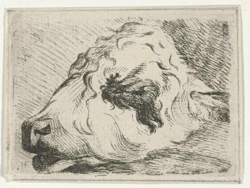 Head of a calf, in profile, resting on a beam, Hermanus Fock, 1781 - 1822