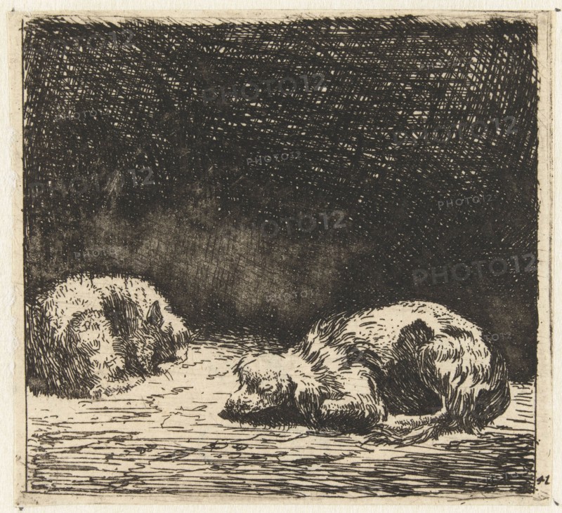 Sleeping dog and cat, Karel Dujardin, 1652-1659