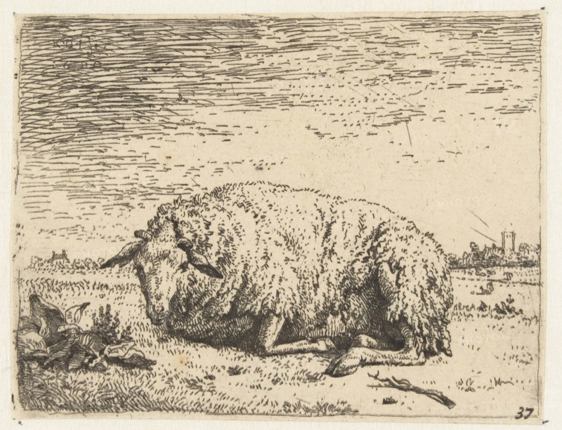 Resting sheep, Karel Dujardin, 1655