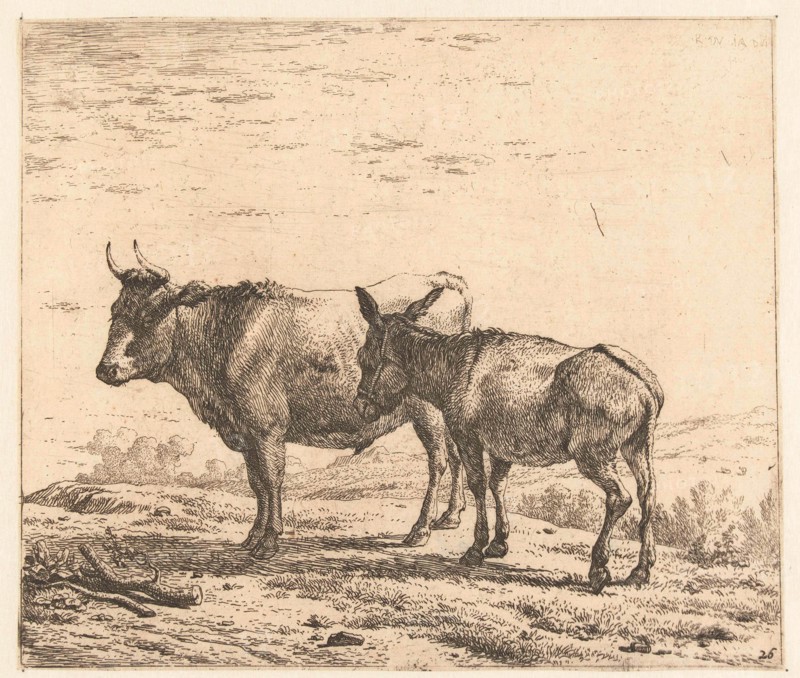Ox and donkey, Karel Dujardin, 1652 - 1659