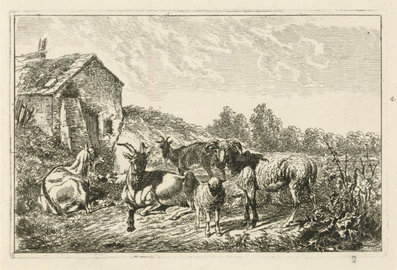 Four goats and sheep at home, Johannes Mock, 1810-1884