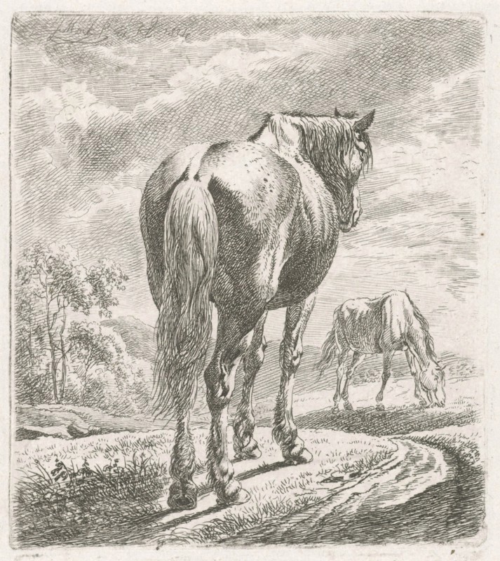 A horse is seen obliquely from behind, In the background a grazing horse, print maker: Johannes Mock (mentioned on object), Dating 1824