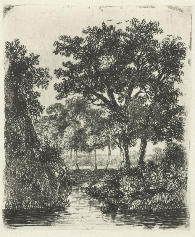 Wooded area with streams, Hermanus Jan Hendrik van Rijkelijkhuysen, 1823 - 1883