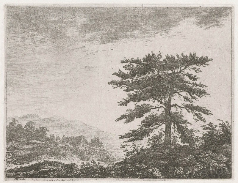 Tree in a moorland, Christiaan Wilhelmus Moorrees, 1811-1867