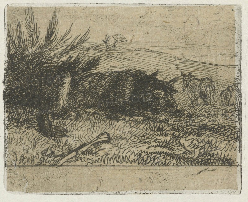 Lying sheepdog, Henry van Ingen, 1864