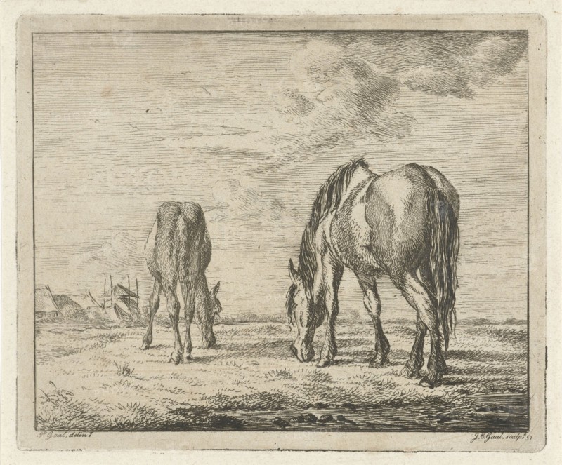 Two grazing horses, Jacobus Cornelis Gaal 1851, print maker: Jacobus Cornelis Gaal, Pieter Gaal, 1851