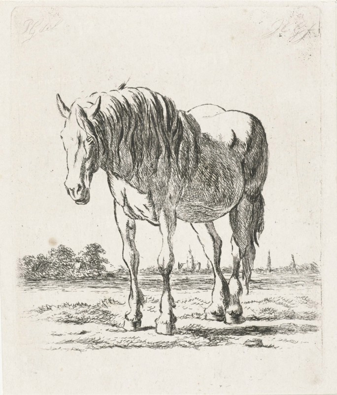 Single white horse, Jacobus Cornelis Gaal, 1860