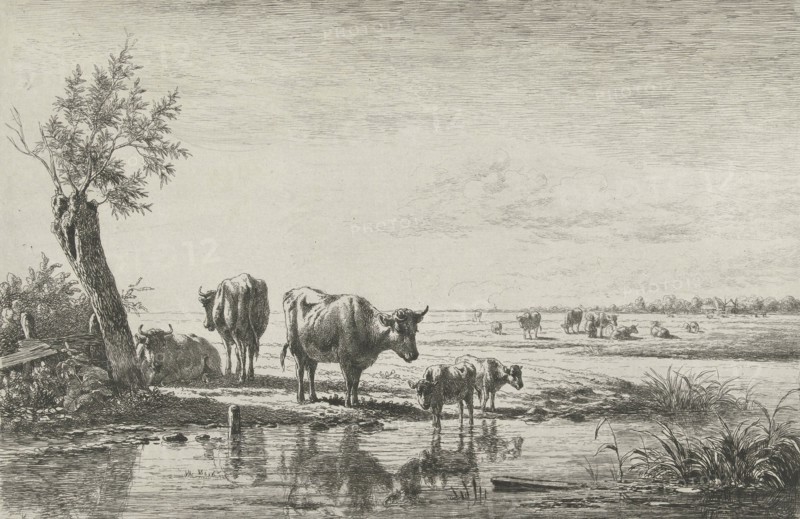 Meadow Landscape with cows in water, Simon van den Berg, 1822-1891