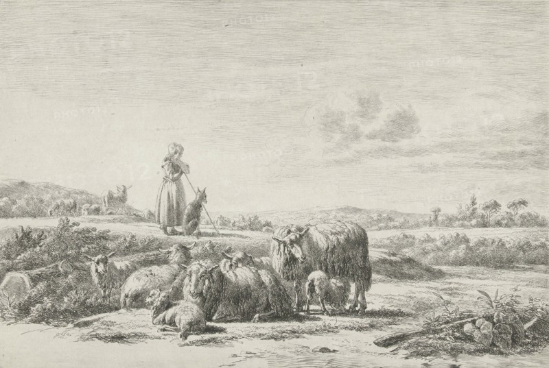 Landscape with shepherd dog with sheep herd, Simon van den Berg, 1822 - 1899, print maker: Simon van den Berg, 1822 - 1899