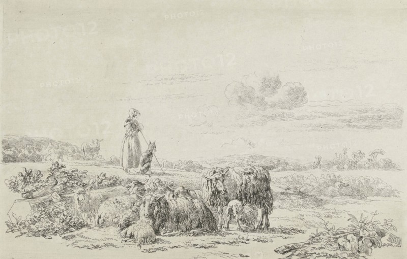 Landscape with shepherd dog with sheep herd, Simon van den Berg, 1822 - 1899