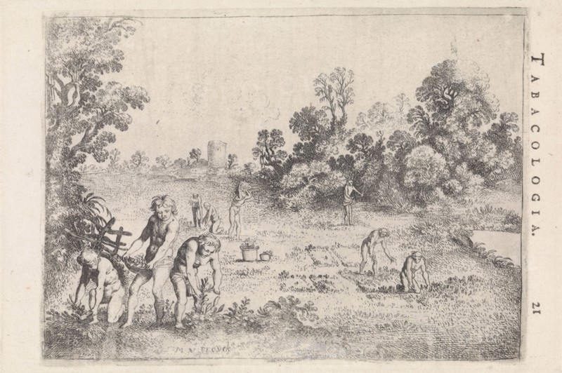 Indians picking tobacco, Moyses van Wtenbrouck, Isaac Elzevier, 1622
