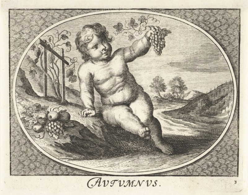Autumn in form of child with grapes and fruit in oval, Cornelis van Dalen II, print maker: Anonymous, Joh. Christoph Schmidhammer, 1735 - 1750