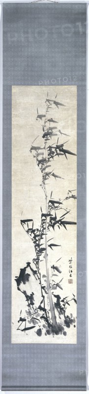 Painting, depicting a bamboo bush, Chiang Ting, 1772