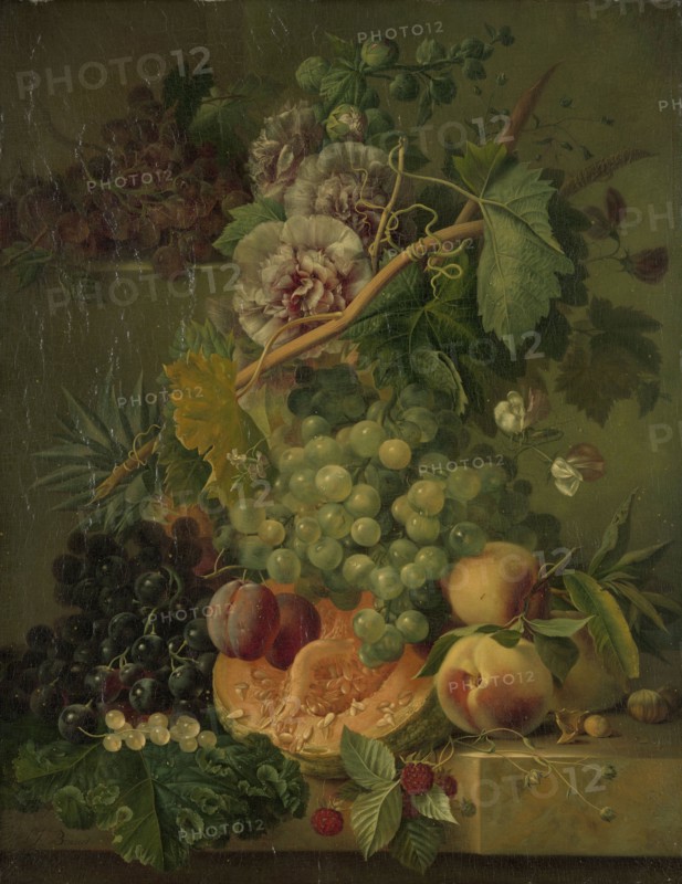Still Life with Flowers and Fruit, Albertus Jonas Brandt, 1816 - 1817