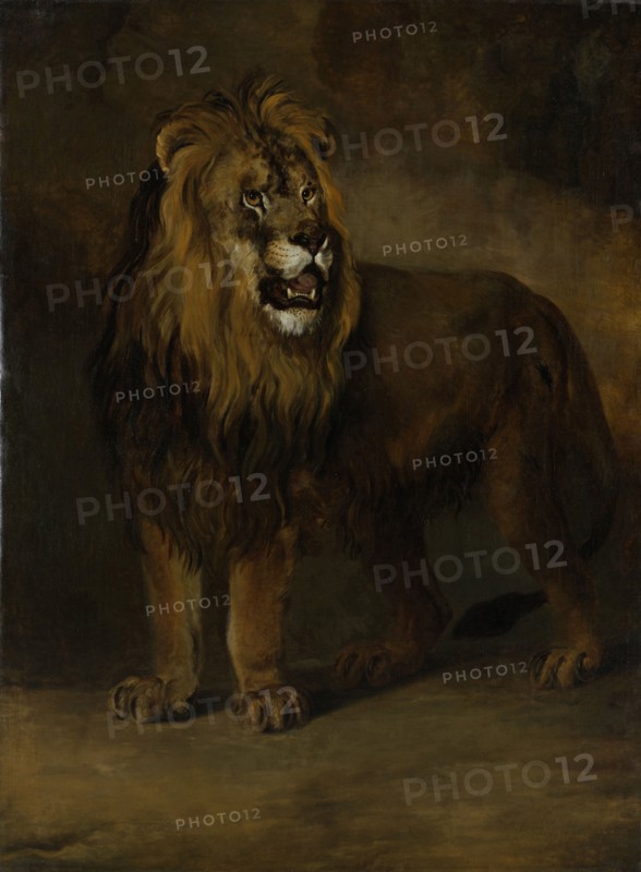 Lion, from the Menagerie of Napoleon III, Emperor of the French, 1808, Pieter Gerardus van Os, 1808