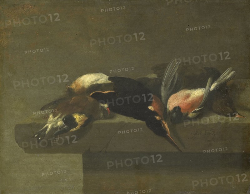 Dead Birds, Jan Vonck, 1640 - 1662