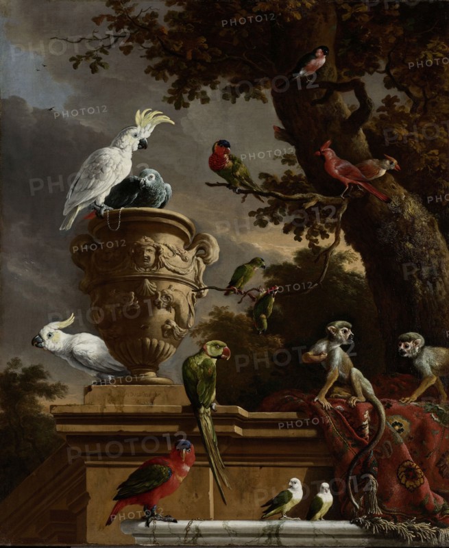 The Menagerie, Melchior d' Hondecoeter, c. 1690
