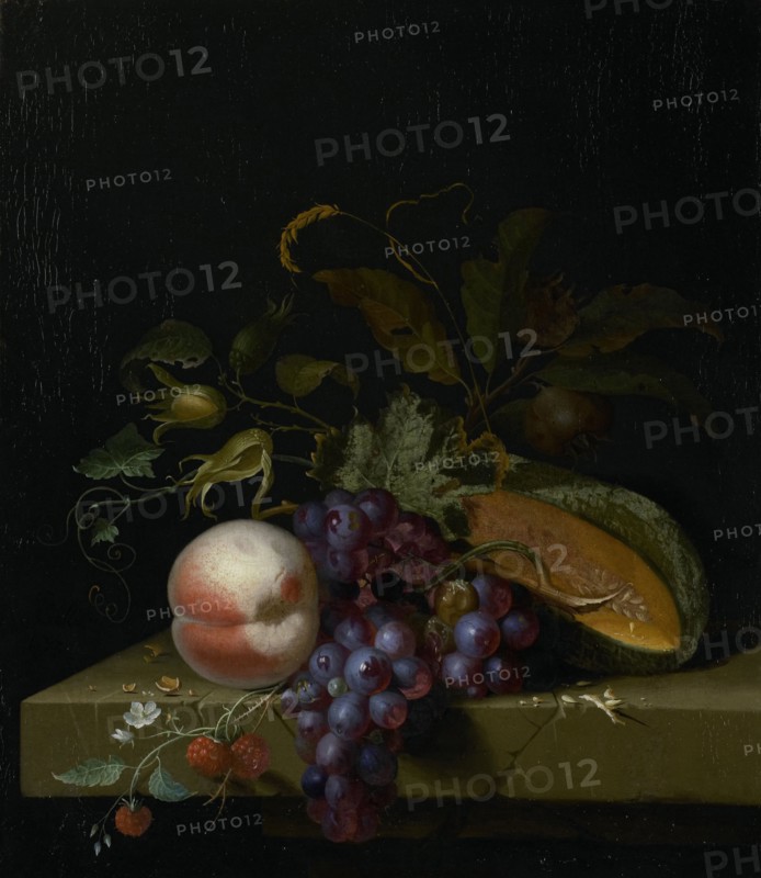 Still Life with Fruit, Pieter Gallis, 1673