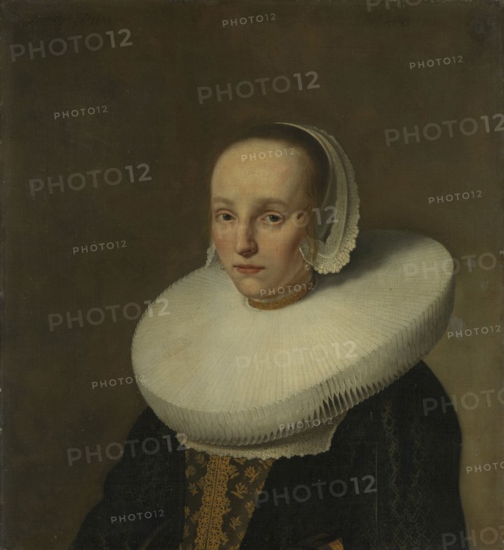 Portrait of Anna van der Does, Wife of Jan de Hooghe, Paulus Hennekyn, 1658