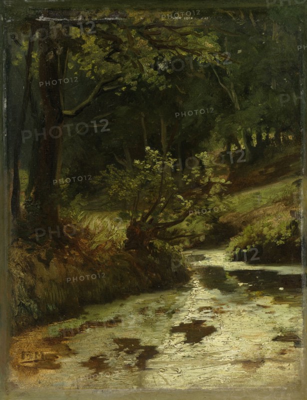 Brook in the Woods near Oosterbeek, The Netherlands, Matthijs Maris, c. 1860