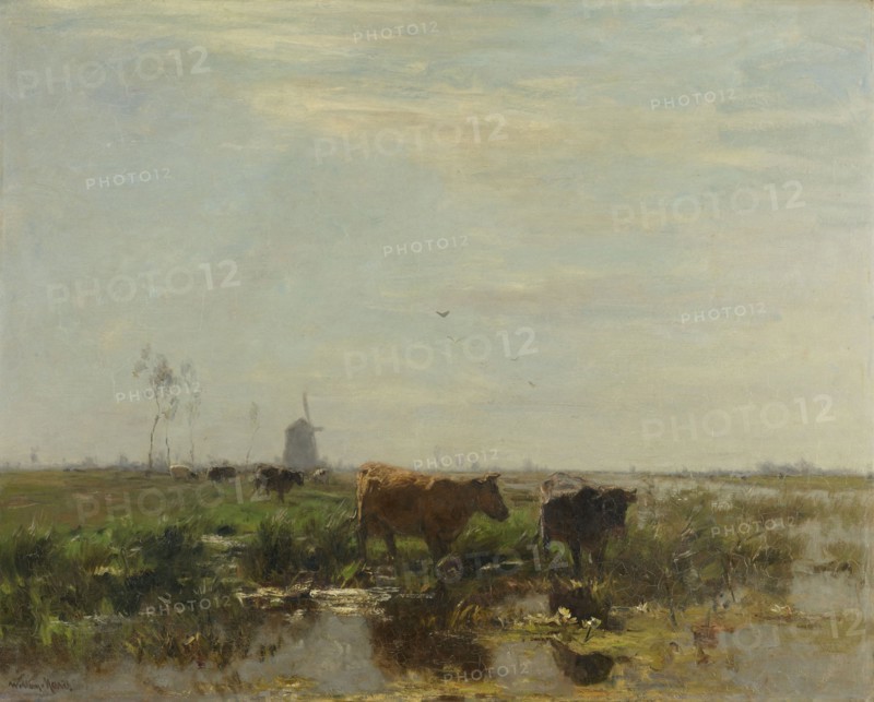 Meadow with Cows by the Water, Willem Maris, 1880 - 1904