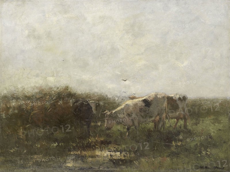 Cows, Willem Maris, 1880 - 1904