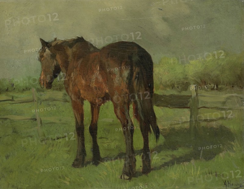 Horse, Anton Mauve, 1860 - 1888
