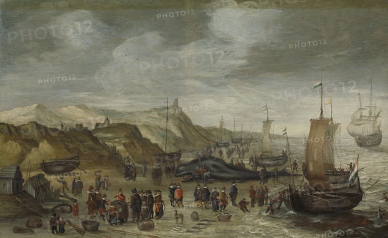 A Sperm Whale Washed up on the Beach at Noordwijk The Netherlands, 28 December 1614, attributed to Hans Savery (I), 1614 - 1626