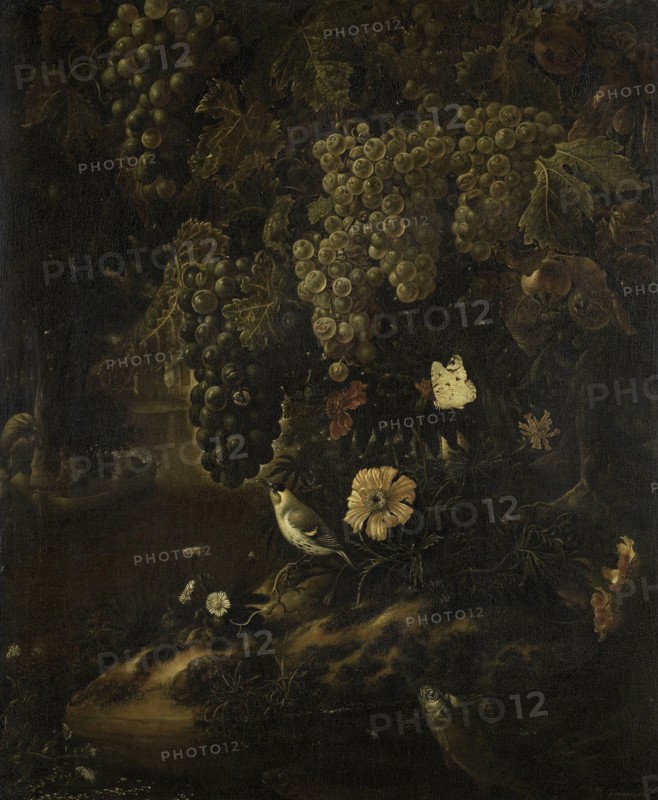 Grapes, Flowers and Animals, Isac Vromans, 1665 - 1719