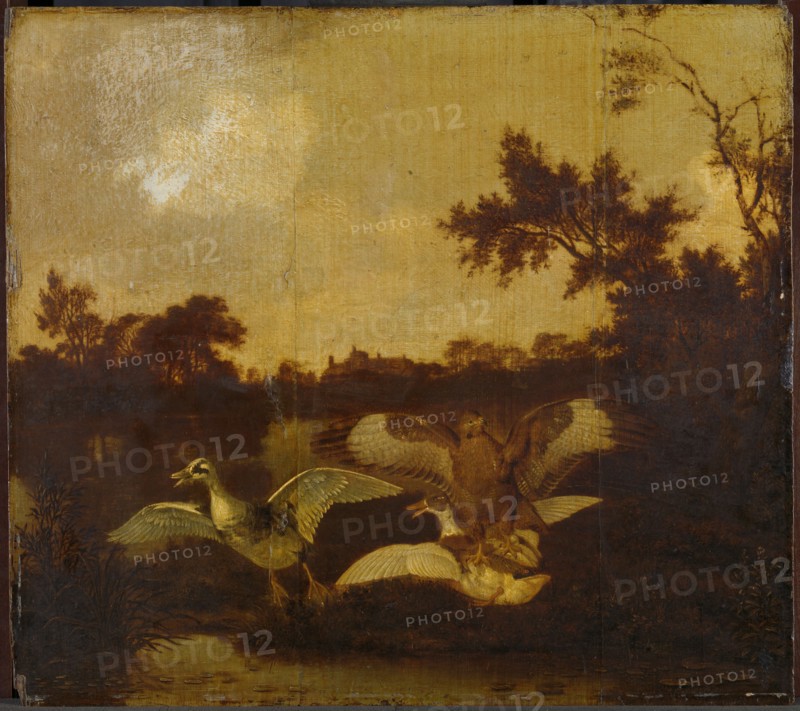 A Buzzard Attacks two Ducks, Dirck Wijntrack, c. 1635 - c. 1678