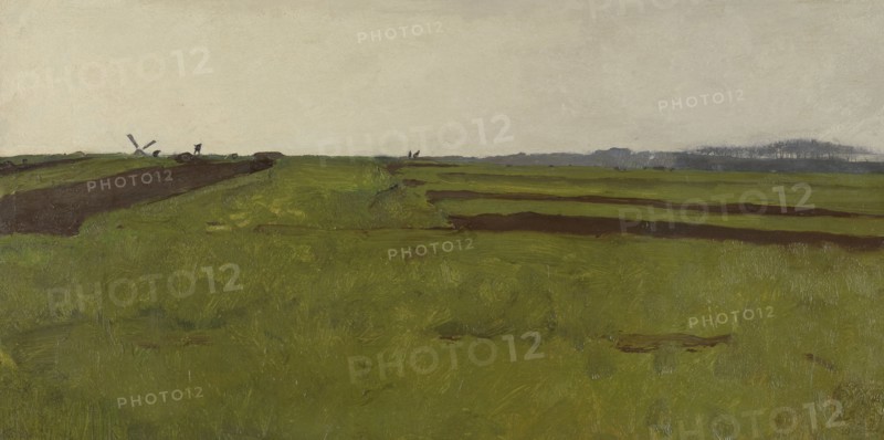 Landscape with fields, Willem Witsen, 1885 - 1922