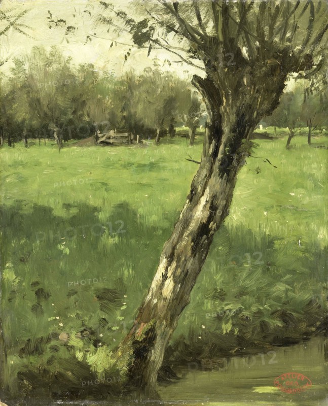 Willow, Geo Poggenbeek, c. 1873 - c. 1903