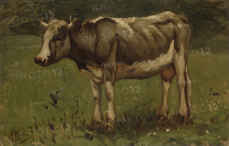 Cow, Anton Mauve, 1860 - 1888
