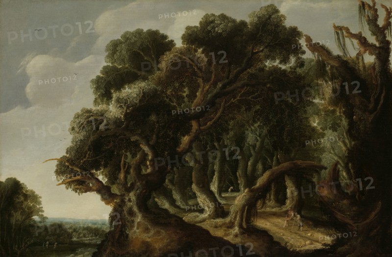 Wooded Landscape, Jacob Jacobsz van Geel, c. 1633