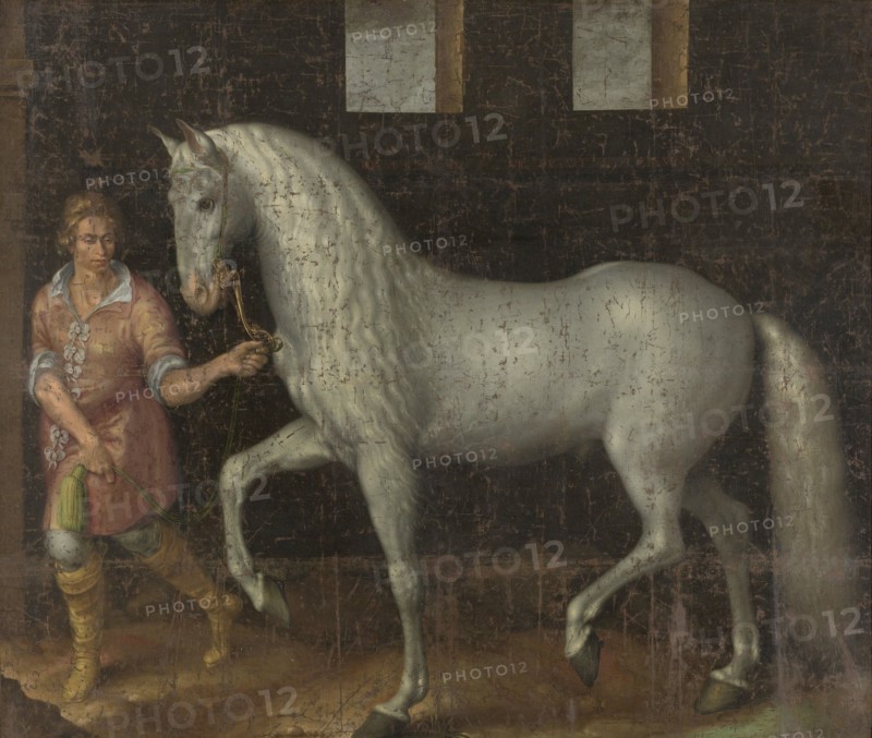 Spanish Warhorse Captured at the Battle of Nieuwpoort by Lodewijk GÃ¼nther of Nassau-Siegen from Archduke Albert of Austria, given to Stadtholder Maurice of Orange, Jacob de Gheyn, II, 1603