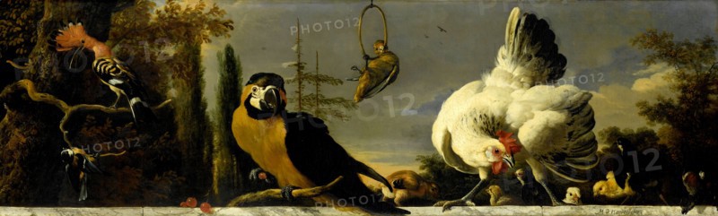 Birds on a Balustrade, Melchior d' Hondecoeter, c. 1680 - c. 1690