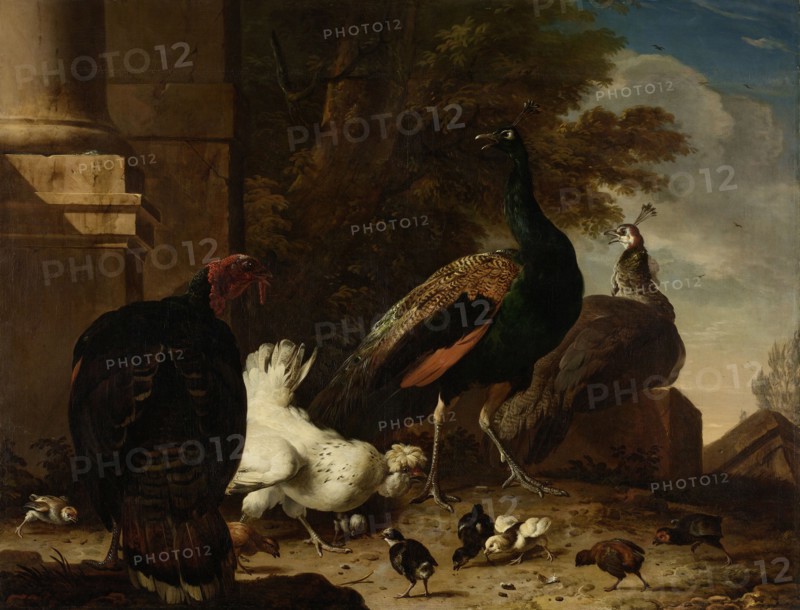 A Hen with Peacocks and a Turkey, Melchior d' Hondecoeter, c. 1680